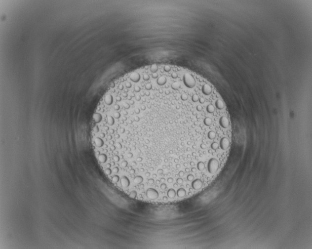 X0000067950670200605112127