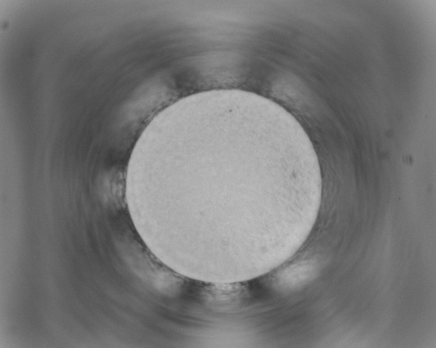 X0000067950672200605112127