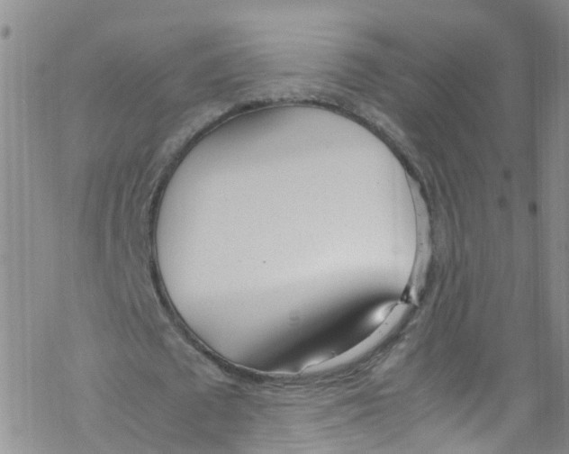 X0000067950673200605112126