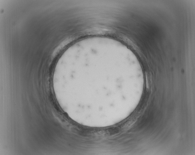 X0000067950675200605112126