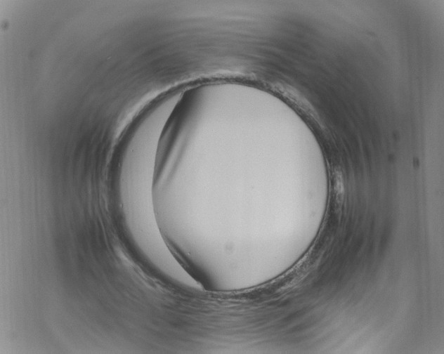 X0000067950676200605112126