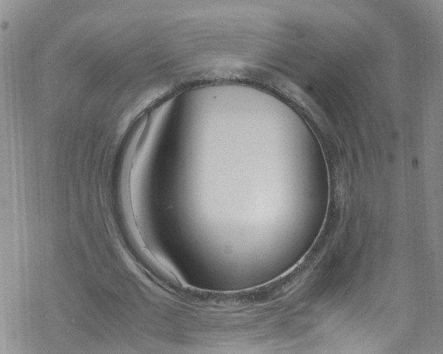 X0000067950677200605112126