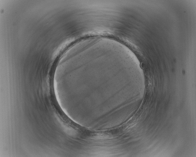 X0000067950678200605112126