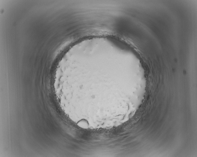 X0000067950679200605112126