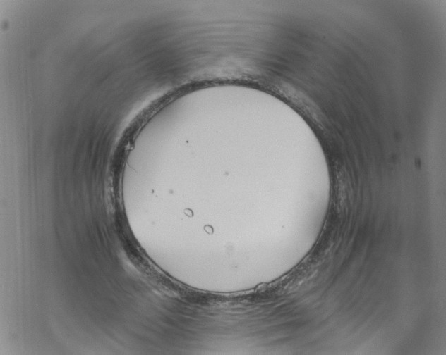 X0000067950680200605112126