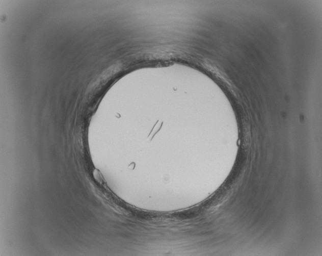 X0000067950681200605112126