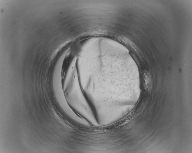 X0000067950684200605112126