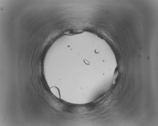 X0000067950685200605112126