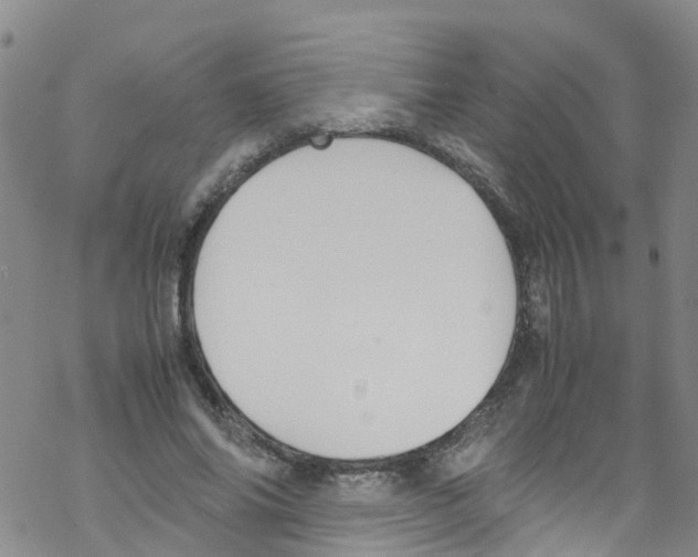 X0000067950686200605112126