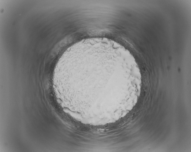 X0000067950687200605112126