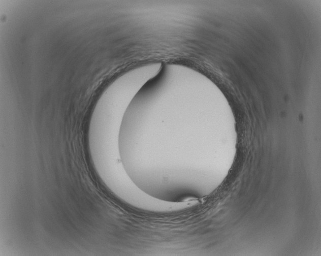 X0000067950689200605112126