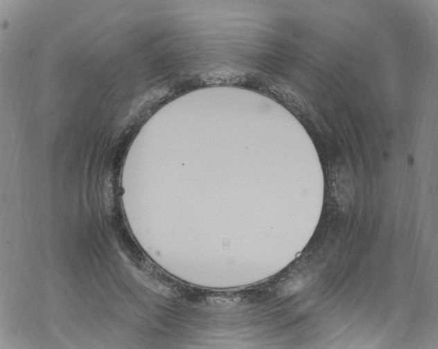 X0000067950690200605112126