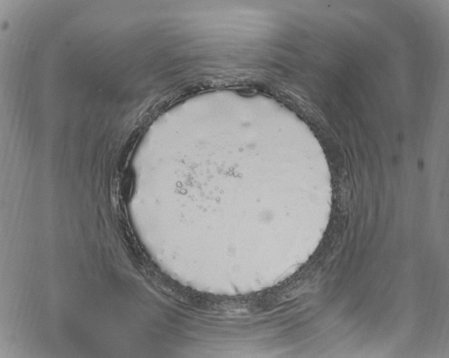 X0000067950691200605112126