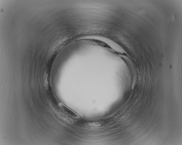 X0000067950692200605112126