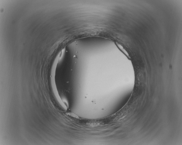 X0000067950693200605112126