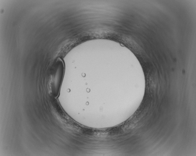 X0000067950694200605112126