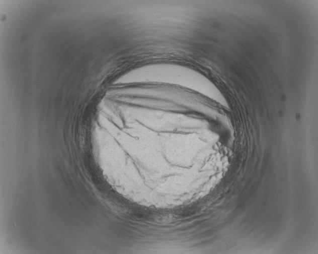 X0000067950695200605112126