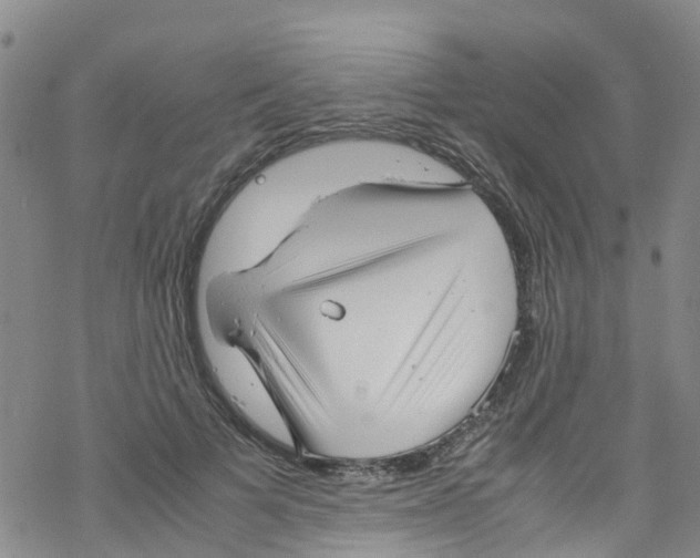 X0000067950697200605112126