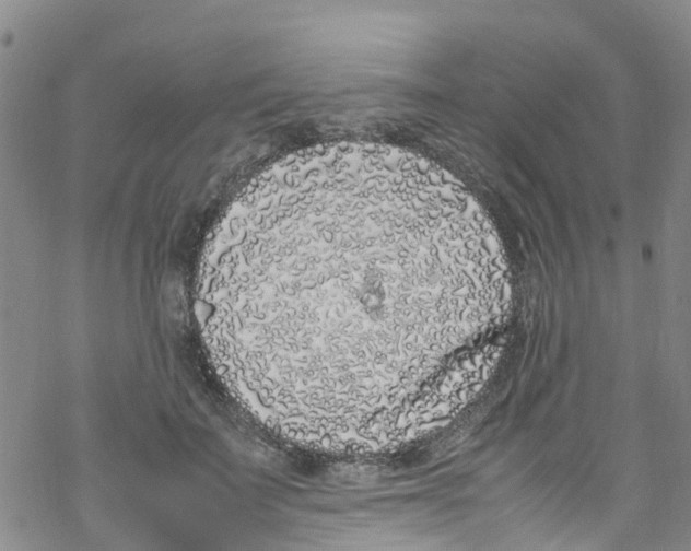 X0000067950699200605112126