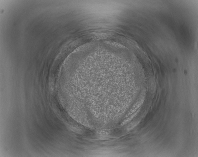 X0000067950701200605112126