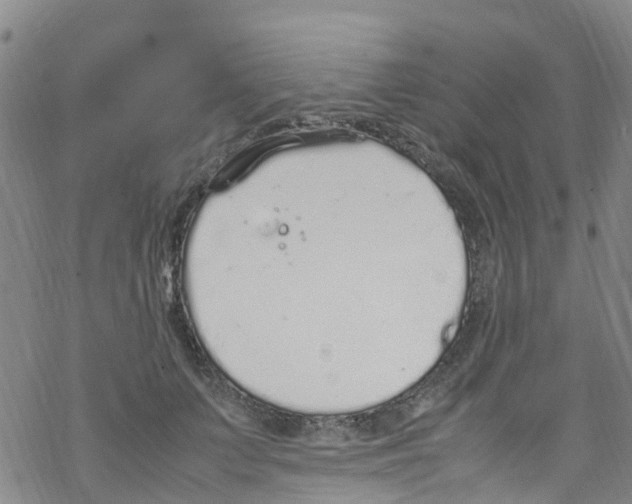 X0000067950703200605112126