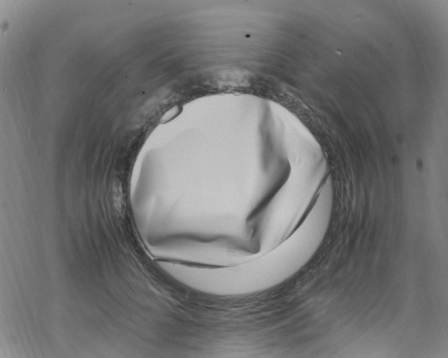 X0000067950704200605112126