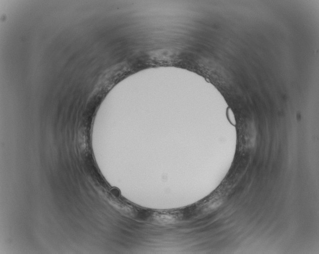 X0000067950706200605112125