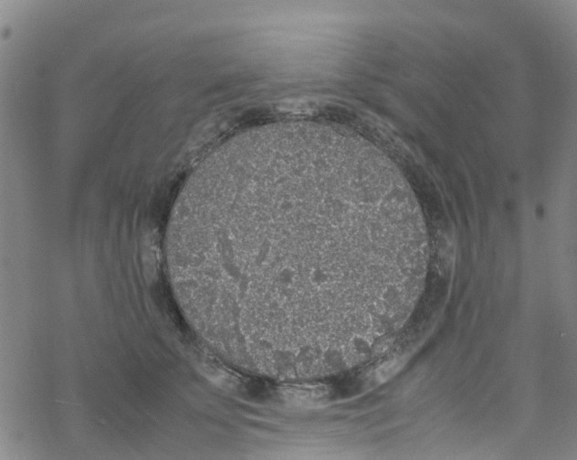 X0000067950707200605112125