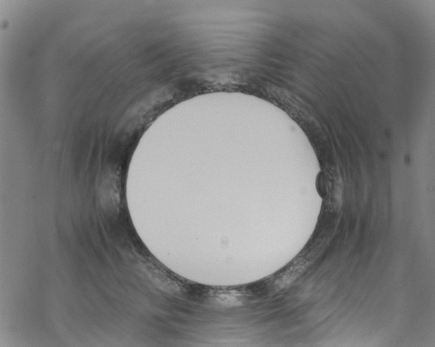 X0000067950710200605112125