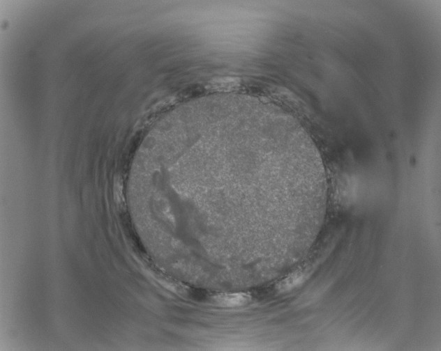 X0000067950711200605112125