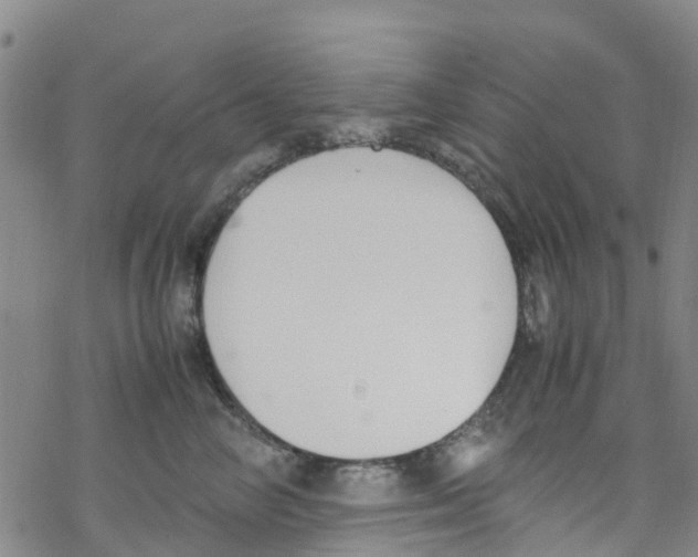 X0000067950714200605112125