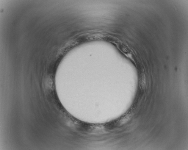 X0000067950715200605112125