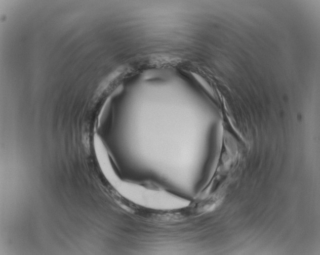 X0000067950716200605112125