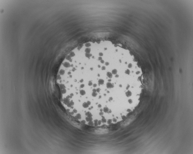 X0000067950718200605112125