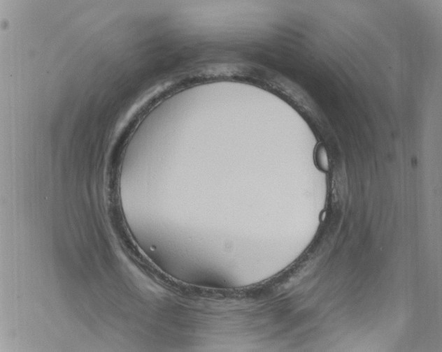 X0000067950722200605112124