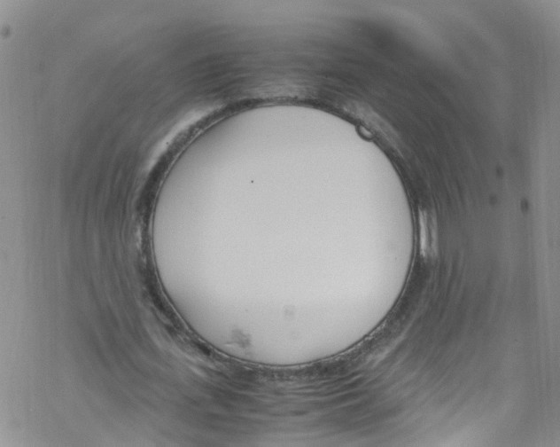 X0000067950723200605112125