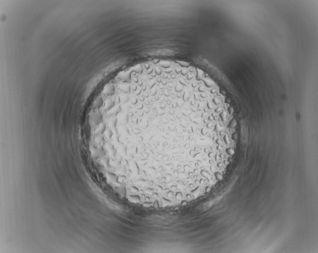 X0000067950725200605112125