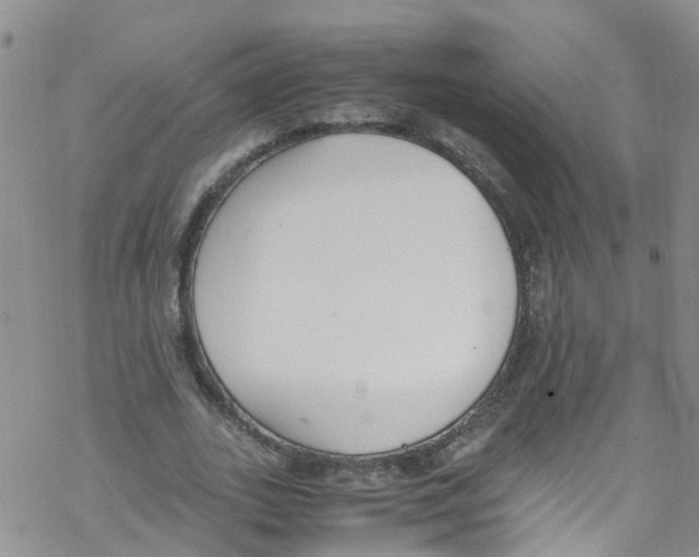 X0000067950727200605112125