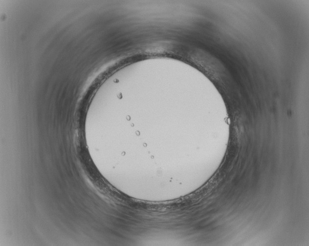 X0000067950728200605112125