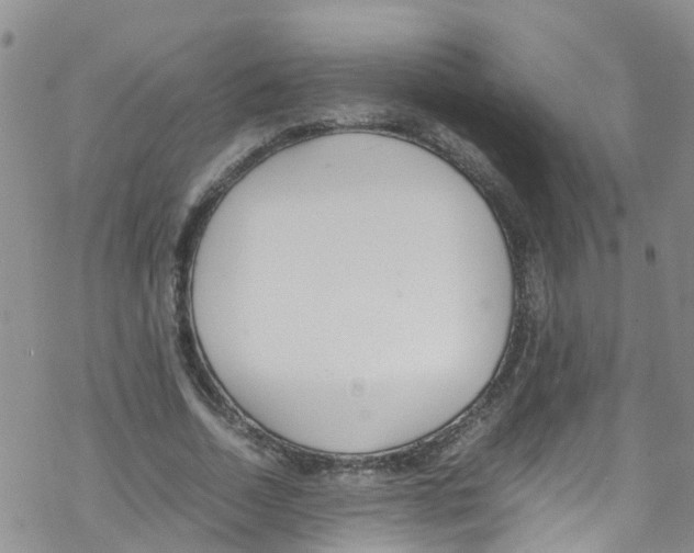 X0000067950730200605112125