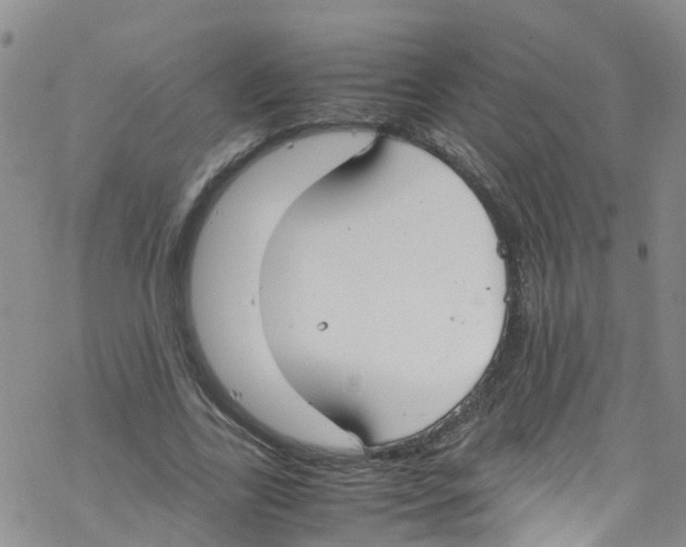 X0000067950731200605112125