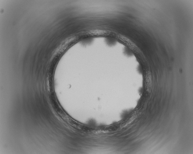 X0000067950734200605112125