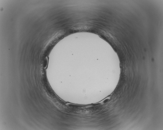 X0000067950735200605112125