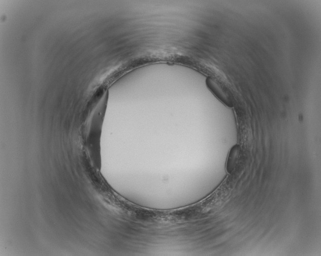 X0000067950736200605112125