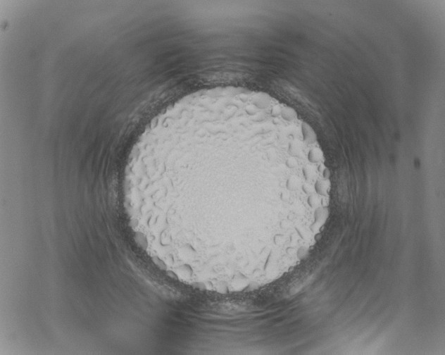 X0000067950737200605112125