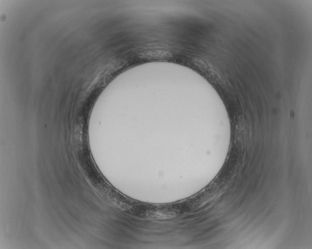 X0000067950739200605112125