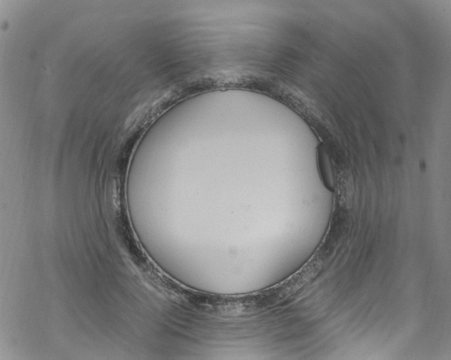 X0000067950740200605112125