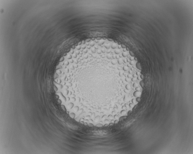 X0000067950741200605112125