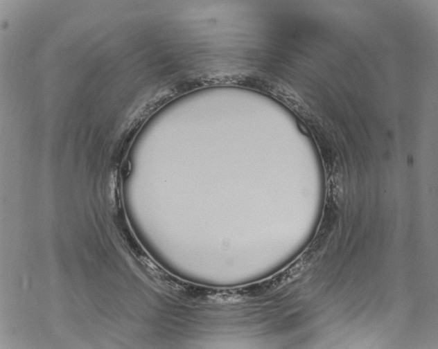 X0000067950742200605112125