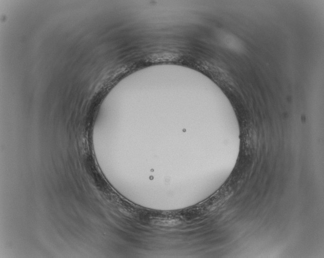 X0000067950743200605112125